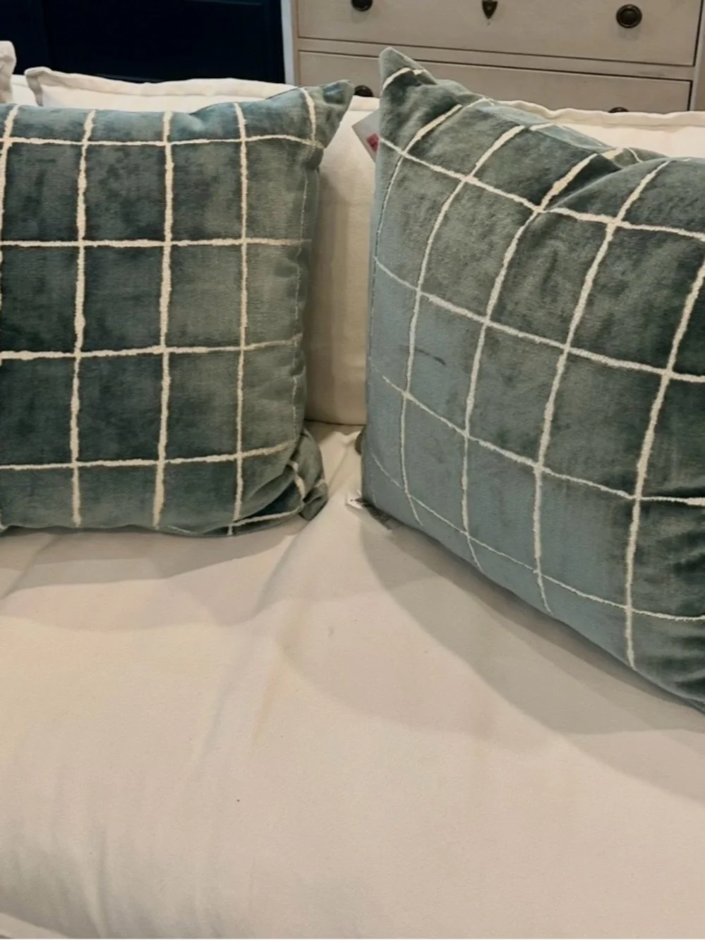 Southern Living Euro Pillows